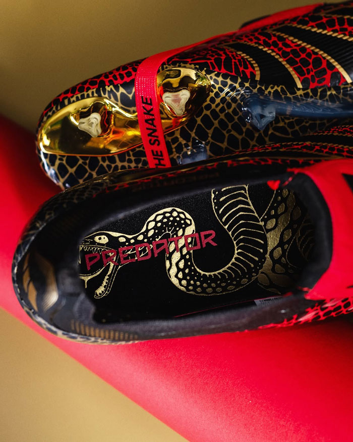 adidas Predator 25 year of the snake