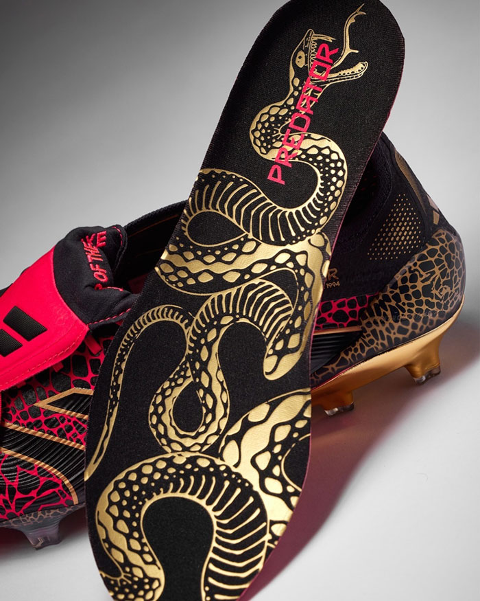 adidas Predator 25 vložka s hadem